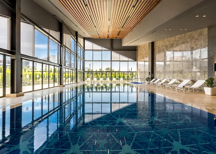 The Fortyfive Business &